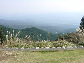 DSC00019