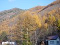 長野