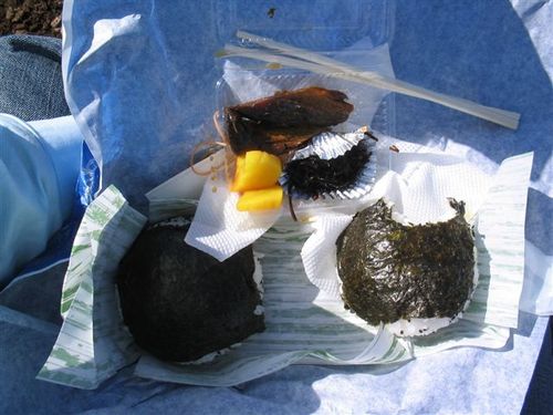 昼のおにぎり
