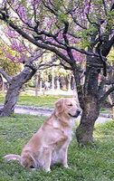 31067156_2514221814s