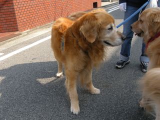 画像 001