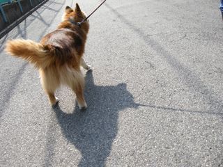 画像 003