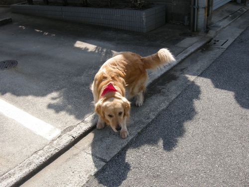 画像 041