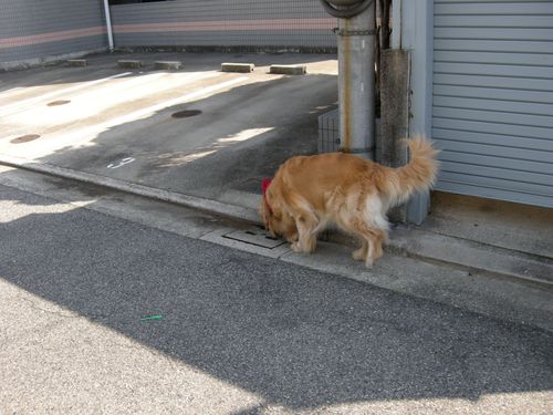 画像 040