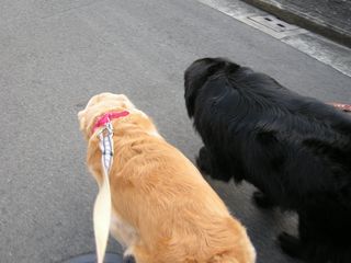 画像 018