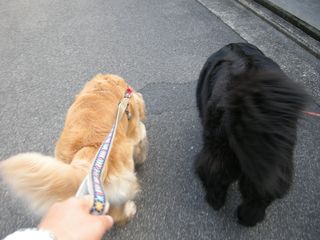 画像 017