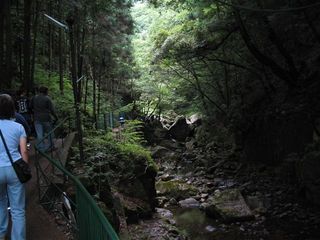 ここまで来たら涼しい