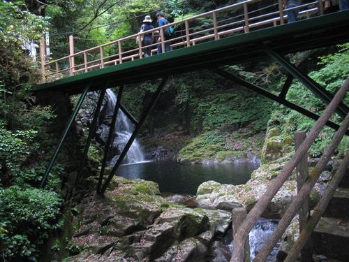橋