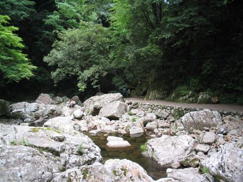 滝、滝