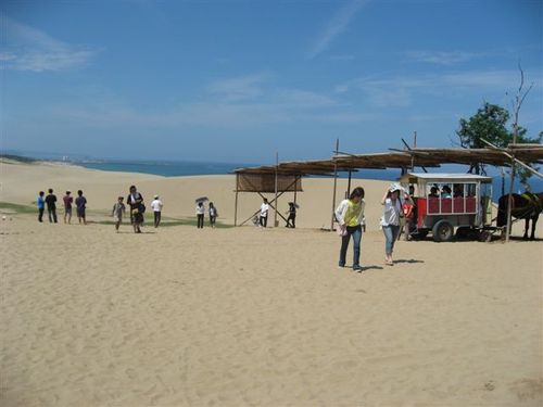 IMG_0108 (2)