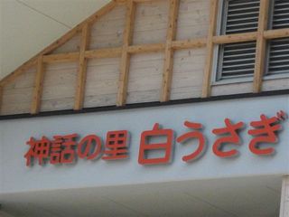IMG_0127 (2)