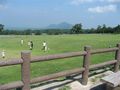 IMG_0207 (2)