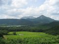IMG_0288 (2)