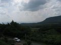 IMG_0294 (2)