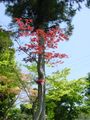 画像 019